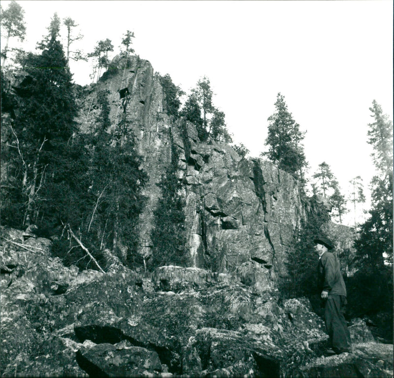 LALEAZZO HARRY STOCKHOLUNGATA ISRIDS HOLENGE TOTO RELEBRYA LEANJON ARELE - Vintage Photograph