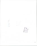 1997 INSECTIONS ANIMAL ARCHIVE ALLAN GUARANTEE - Vintage Photograph