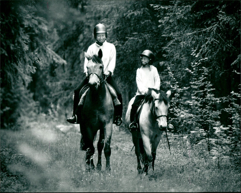 HOMB BLOOD HOMBLAD ENUNO ARCHIVE EUROPEAN GUARDS EMMA UMEA - Vintage Photograph