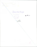 1991 ANIMALS INSECTIONS ARCHIVE OVK DYICAR SHELL BELONG TO UMEA - Vintage Photograph