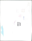 1990 ANIMALS KANINES TILLHER SHELF TOWN ILHO FOLDERD ARCIVE RABBITS CLASE LAWN - Vintage Photograph