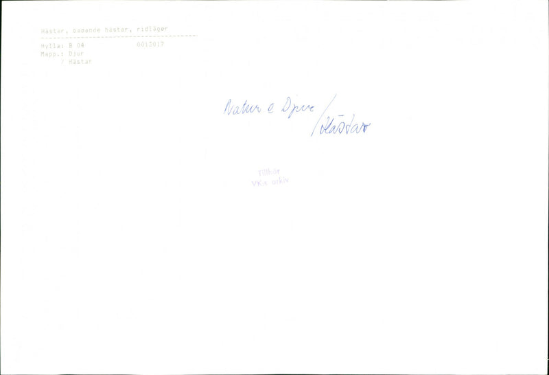 STOCK HASTAR PLASTICS SPIE RIDING ARCHIVE NATURE UNDE - Vintage Photograph