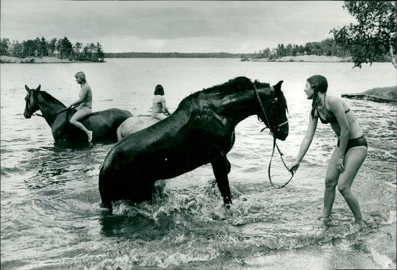 STOCK HASTAR PLASTICS SPIE RIDING ARCHIVE NATURE UNDE - Vintage Photograph