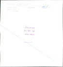 1981 ANIMALS GRISES PIG SHELF CHRISTMAS ARCHIVE ROW SLAUGHTER SLAUGHTERED FOLDER - Vintage Photograph