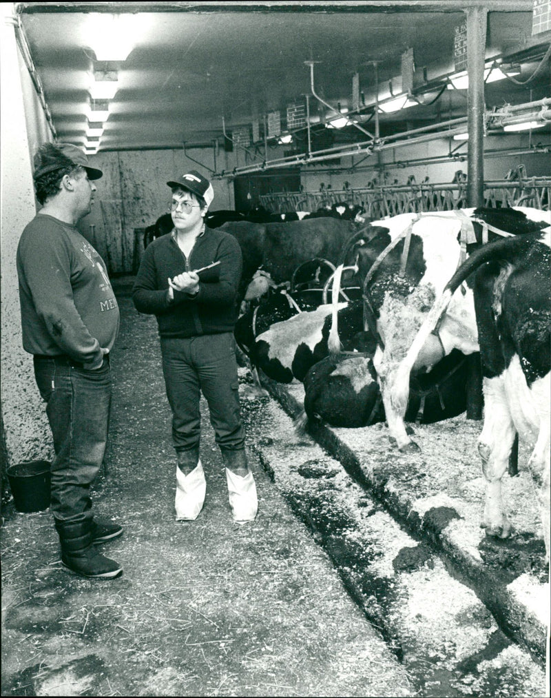 1988 AGRICULTURE ANIMAL CROSS BACK POTTER FARMER BERGQ HOR FOOTWEAR INVENTORY - Vintage Photograph