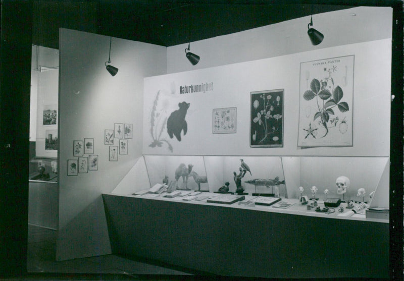 nature Exhibition - Vintage Photograph