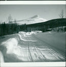 Rivovardo - Vintage Photograph