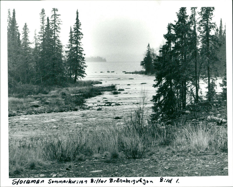 Övre Bohsjön, Tärnaby - Vintage Photograph