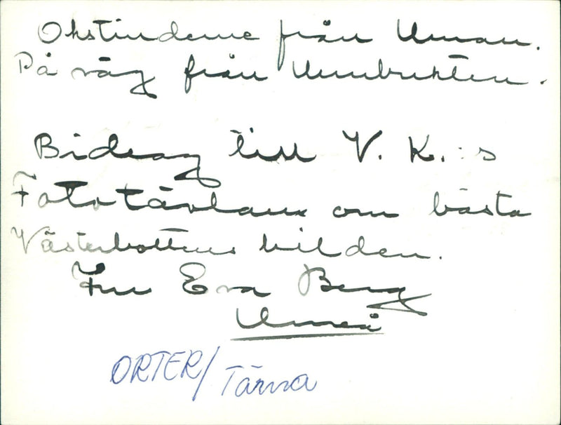 Lake - Vintage Photograph