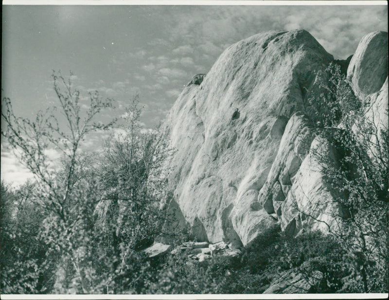 1938 JARNA GAMLA BILDS TANABE KANTA CALCAREOUS JUNI GROOKE BESTEL VARDO ROD - Vintage Photograph