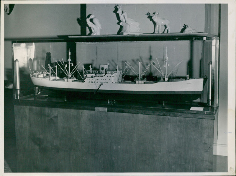 Model of one of the Broström Group's vessels "MS 399". Gift to Prince Carl Gustaf - Vintage Photograph