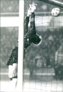 - Vintage Photograph