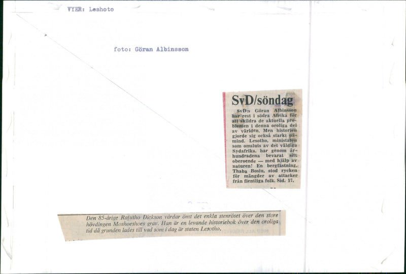 BUT HAS HOSTILE BLEMI MULTITUDES MINISTATE PRO PART NATURE ITS STOOD - Vintage Photograph