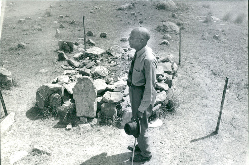 BUT HAS HOSTILE BLEMI MULTITUDES MINISTATE PRO PART NATURE ITS STOOD - Vintage Photograph