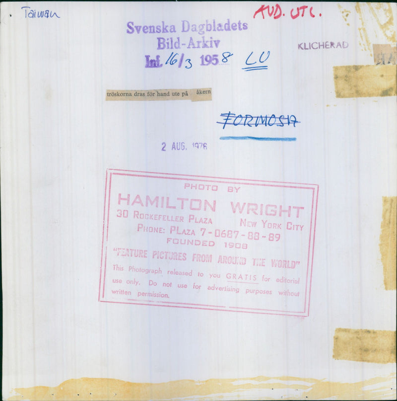 Taiwan Agriculture - Vintage Photograph