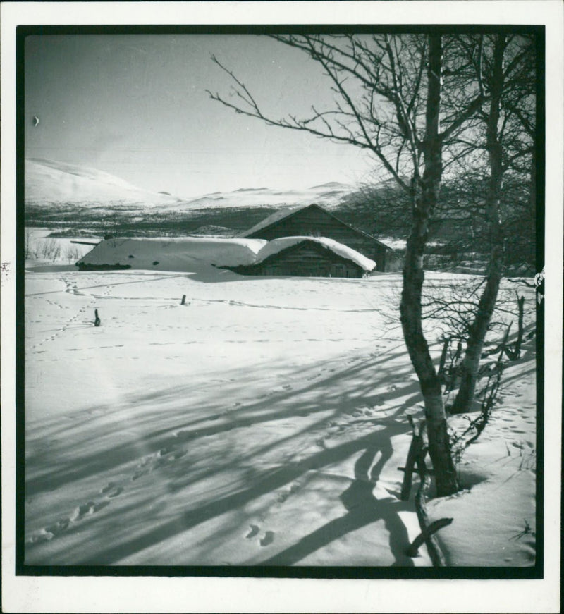 1935 JARNA GAMLA BILDS TANABE KANTA BARNUGAID SOMMAN SUNG SKHOLLY TAMA TARN - Vintage Photograph
