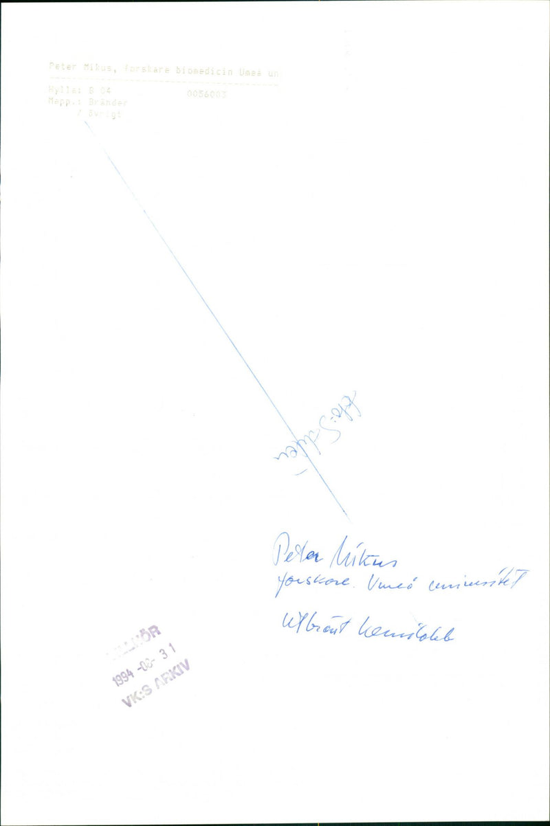 1994 UNDER OBJECT UNSUNTET KOMILDEB ARCHIVE MUSICIAN VENCE BIOMEDICINE HAPPYSG PETER - Vintage Photograph