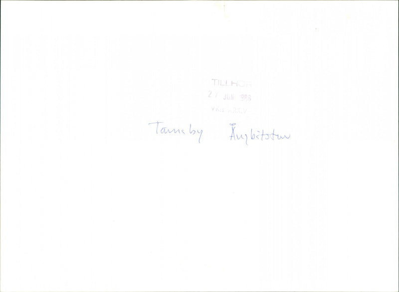 Ångbåtstur Tärnaby - Vintage Photograph