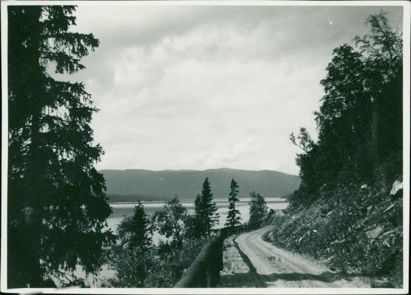 Bridesmaid - Vintage Photograph