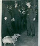 Sweden's Crown Prince Carl Gustaf and England's Crown Prince Charles visit an exhibition together - Vintage Photograph