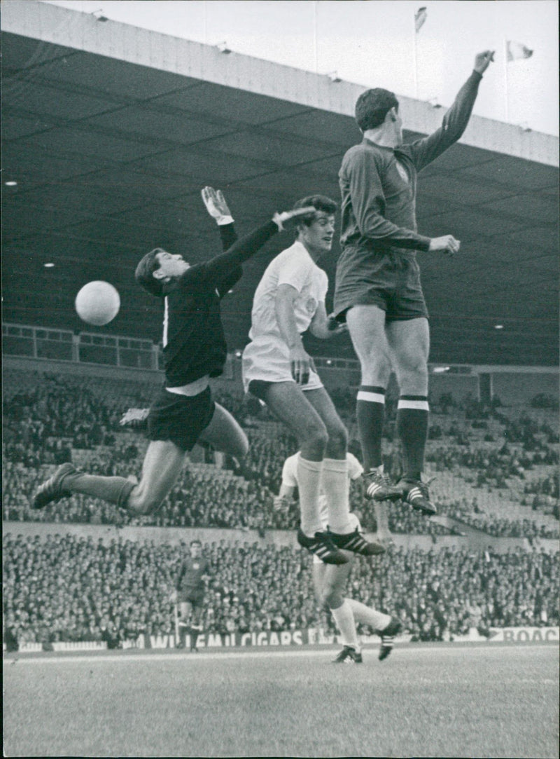Soccer World Cup 1966. Hungary vs Bulgaria. Simeon Simeonov, Flórián Albert and Dobromir Zhechev in the air - Vintage Photograph