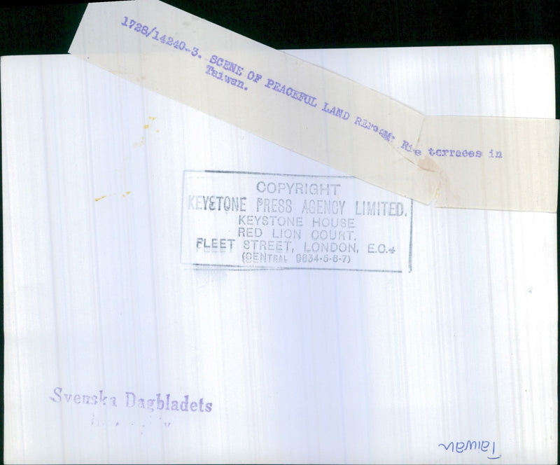 Taiwan Agriculture - Vintage Photograph