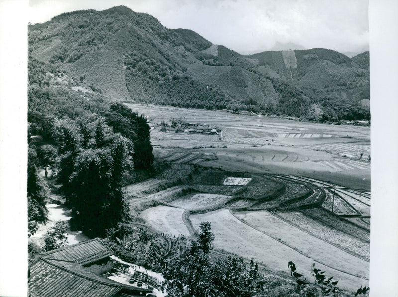 Taiwan Agriculture - Vintage Photograph