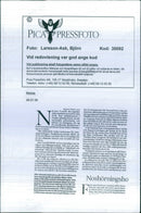 Kenya Nature Reserve - Vintage Photograph