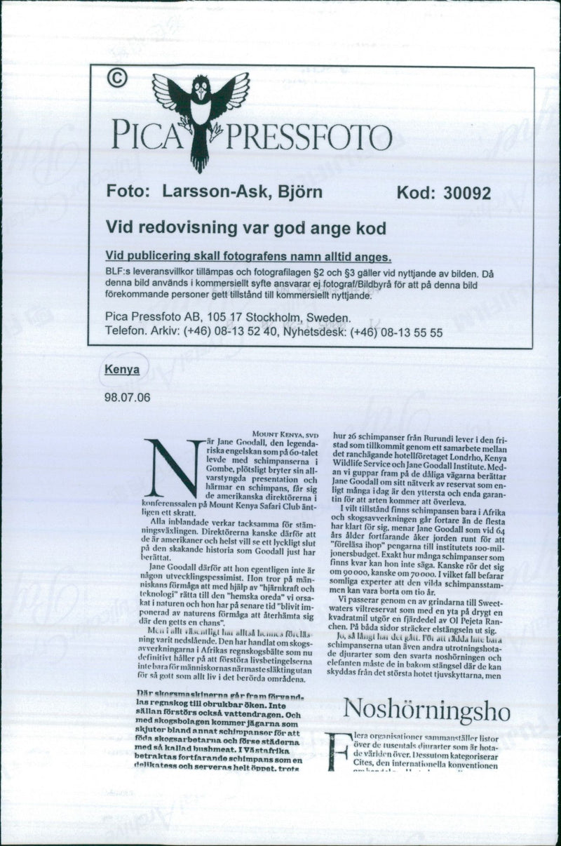 Kenya Nature Reserve - Vintage Photograph