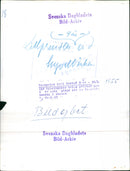 Crown Prince Carl Gustaf 9 years - Vintage Photograph