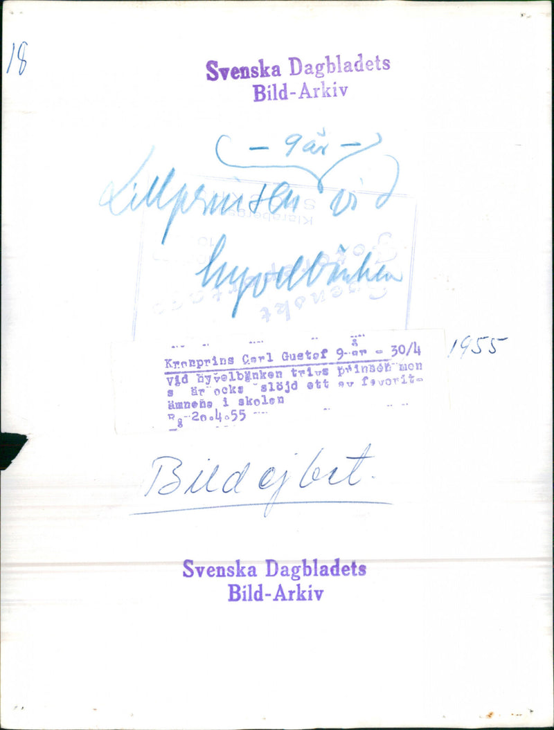 Crown Prince Carl Gustaf 9 years - Vintage Photograph