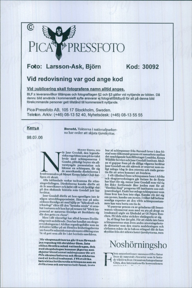 Kenya Nature Reserve - Vintage Photograph