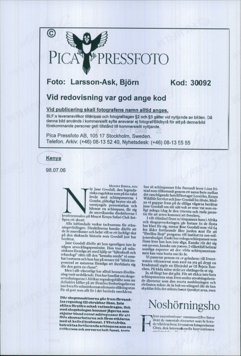 Kenya Nature Reserve - Vintage Photograph