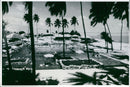 Guyana Miscellaneous - Vintage Photograph
