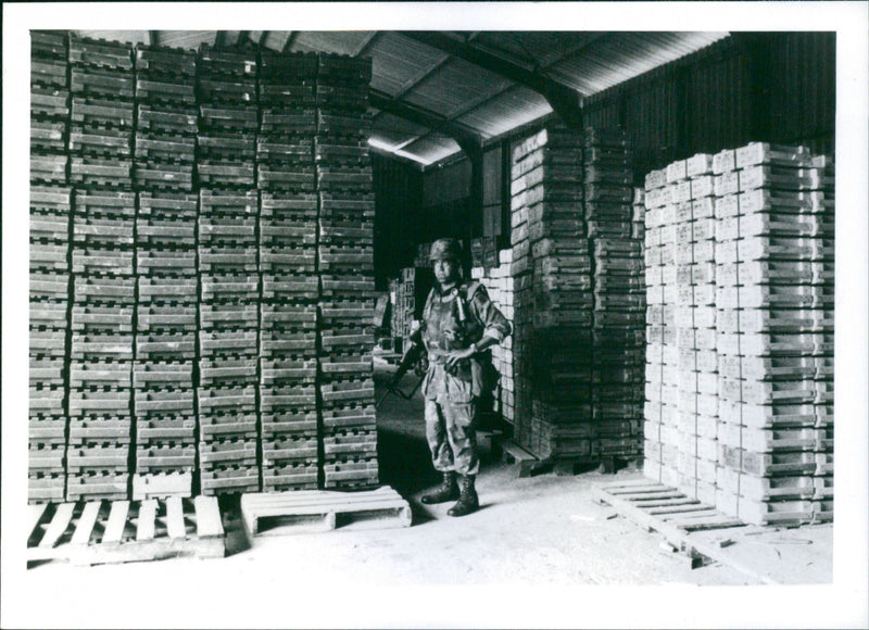 Ammunition i ett varuhus i Grenada - Vintage Photograph