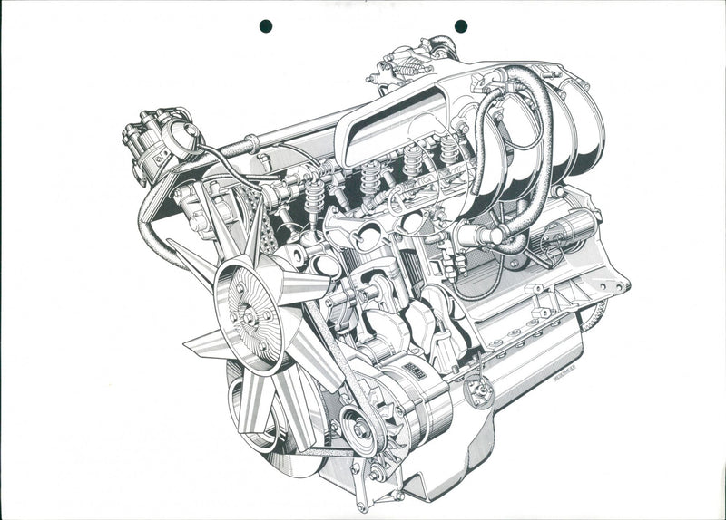 BMW 630 CS and BMW 633 CSi - Vintage Photograph