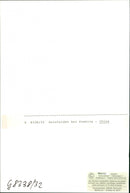 Reisfelder - Vintage Photograph