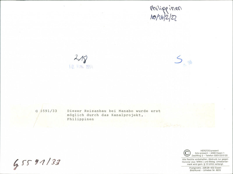 Philippinen / Reisanbau - Vintage Photograph