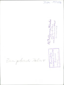 Newspaper reading Italian - Vintage Photograph