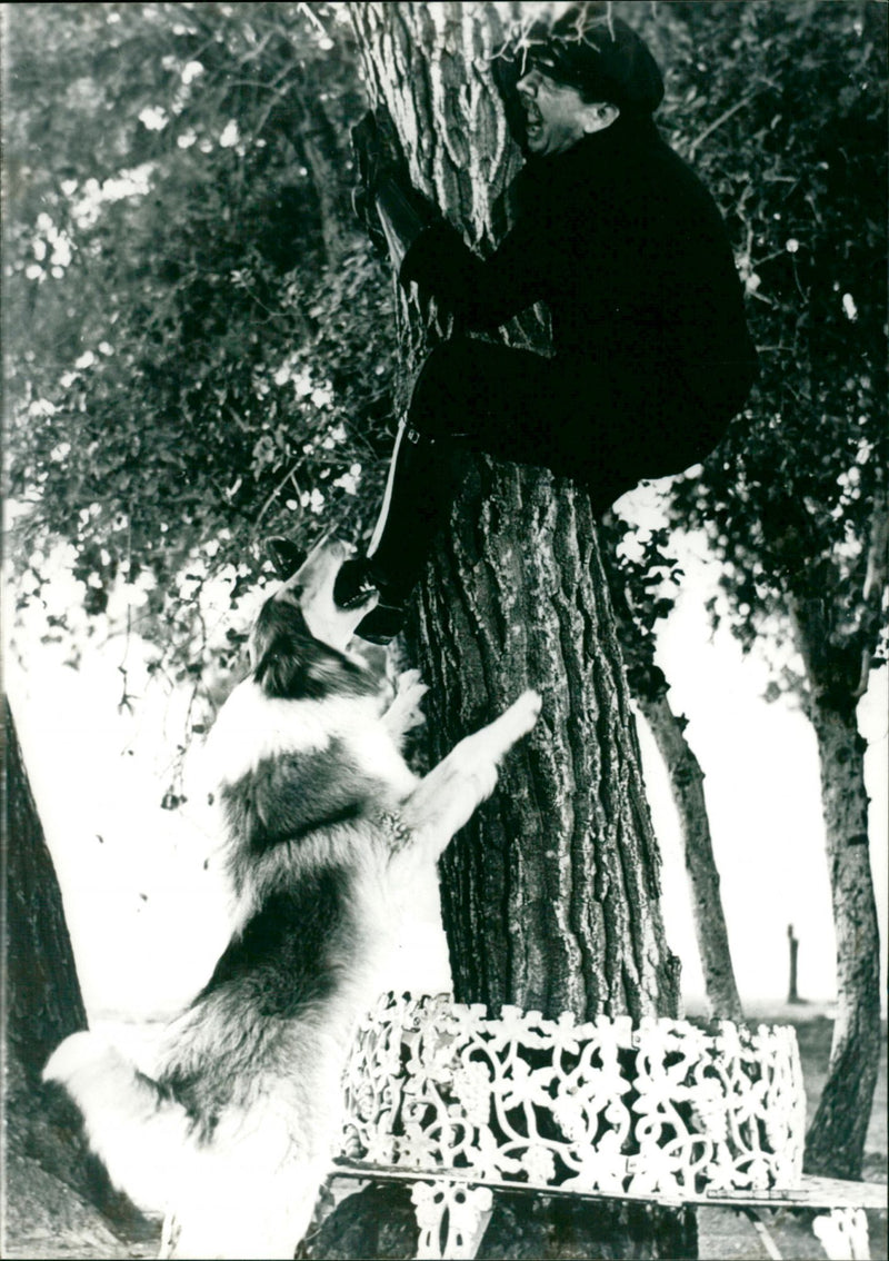 Junge: Ein Hund - Vintage Photograph