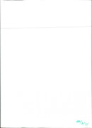 Peugeot 600 V6 SL - Vintage Photograph