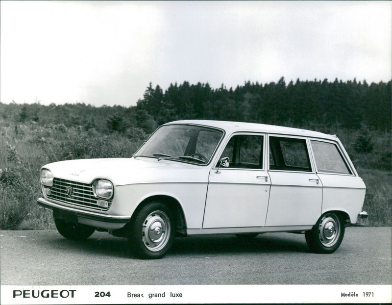 1971 Peugeot 204 Break grand luxe - Vintage Photograph