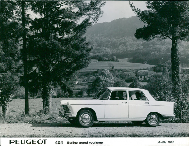 Peugeot 404 1968 - Vintage Photograph