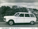1968 Peugeot 204 B Break grand luxe - Vintage Photograph