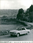 1968 Peugeot 204 C - Vintage Photograph