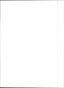 Fiat Palio Weekend - Vintage Photograph