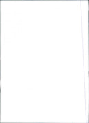 Fiat Uno Turbo 1.4 i.e - Vintage Photograph