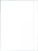 Fiat Seicento - Vintage Photograph