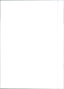 Fiat Palio Weekend - Vintage Photograph