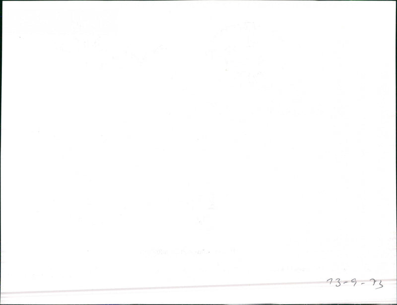 Mercedes Benz 450 SE/ 450 SEL - Vintage Photograph